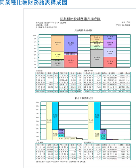 同業種比較財務諸表構成図